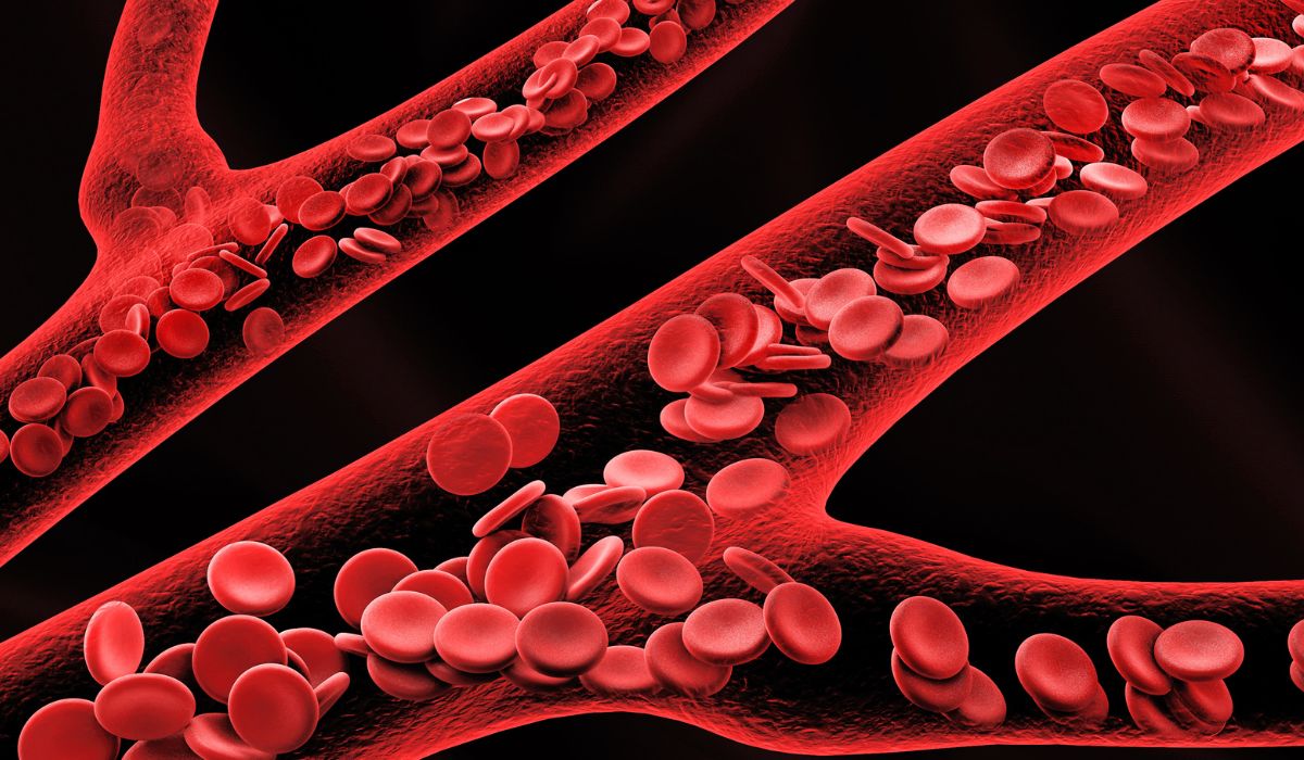 Red Blood Cell Disorders