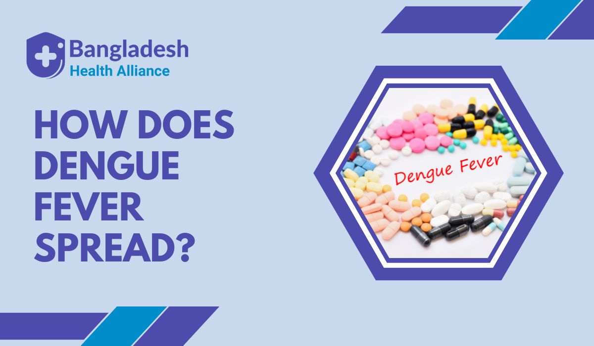 How Does Dengue Fever Spread