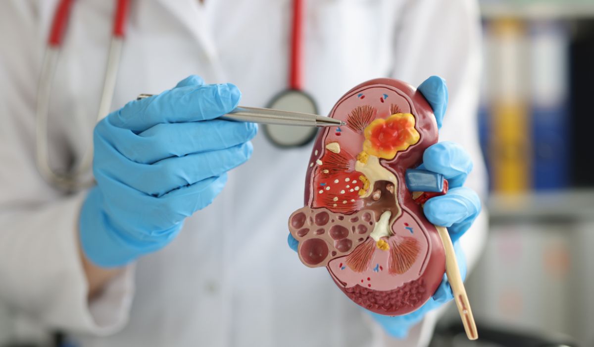 Urologist Treatments & Services