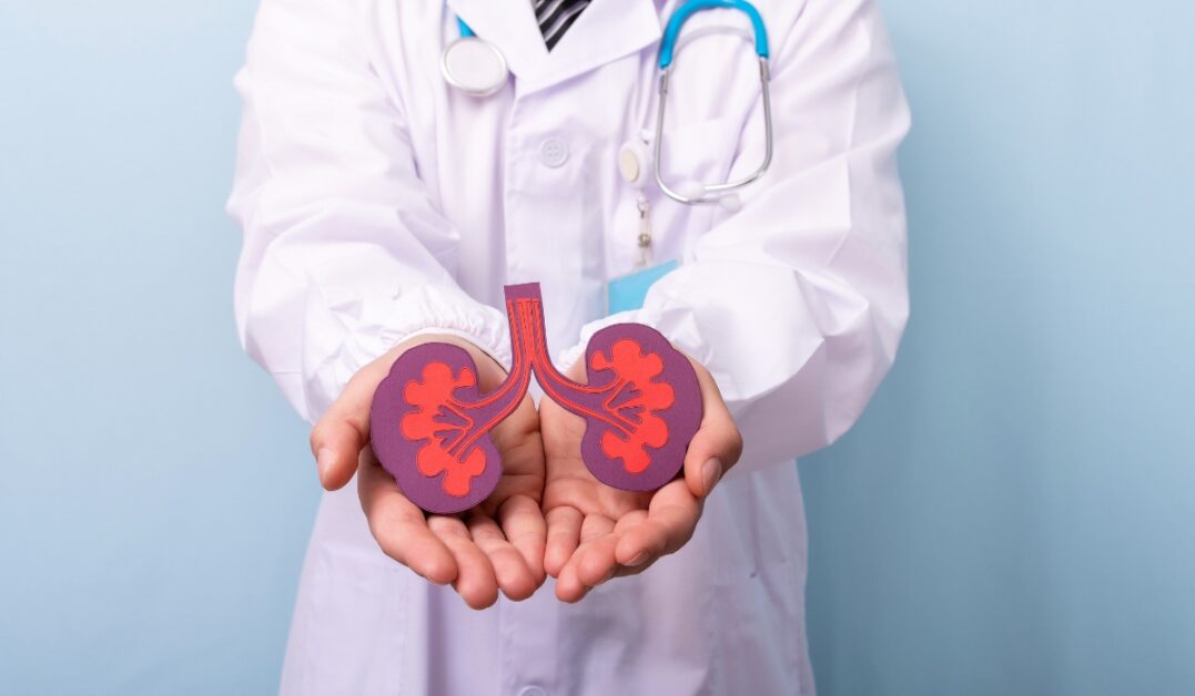 Kidney Transplant Cost in Bangladesh